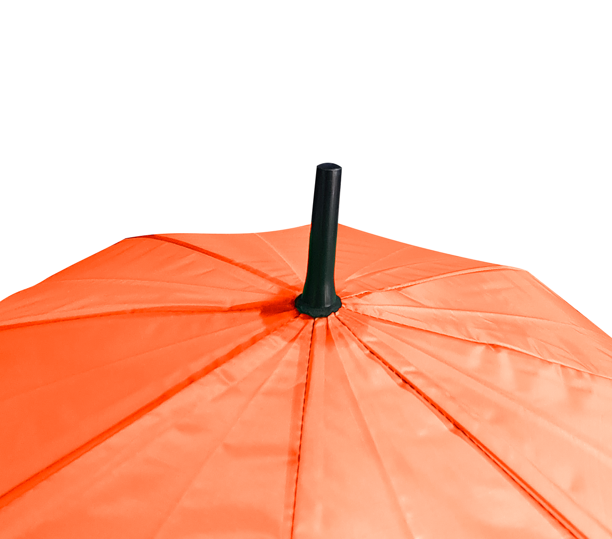 Paragua largo surtidos Mo Import