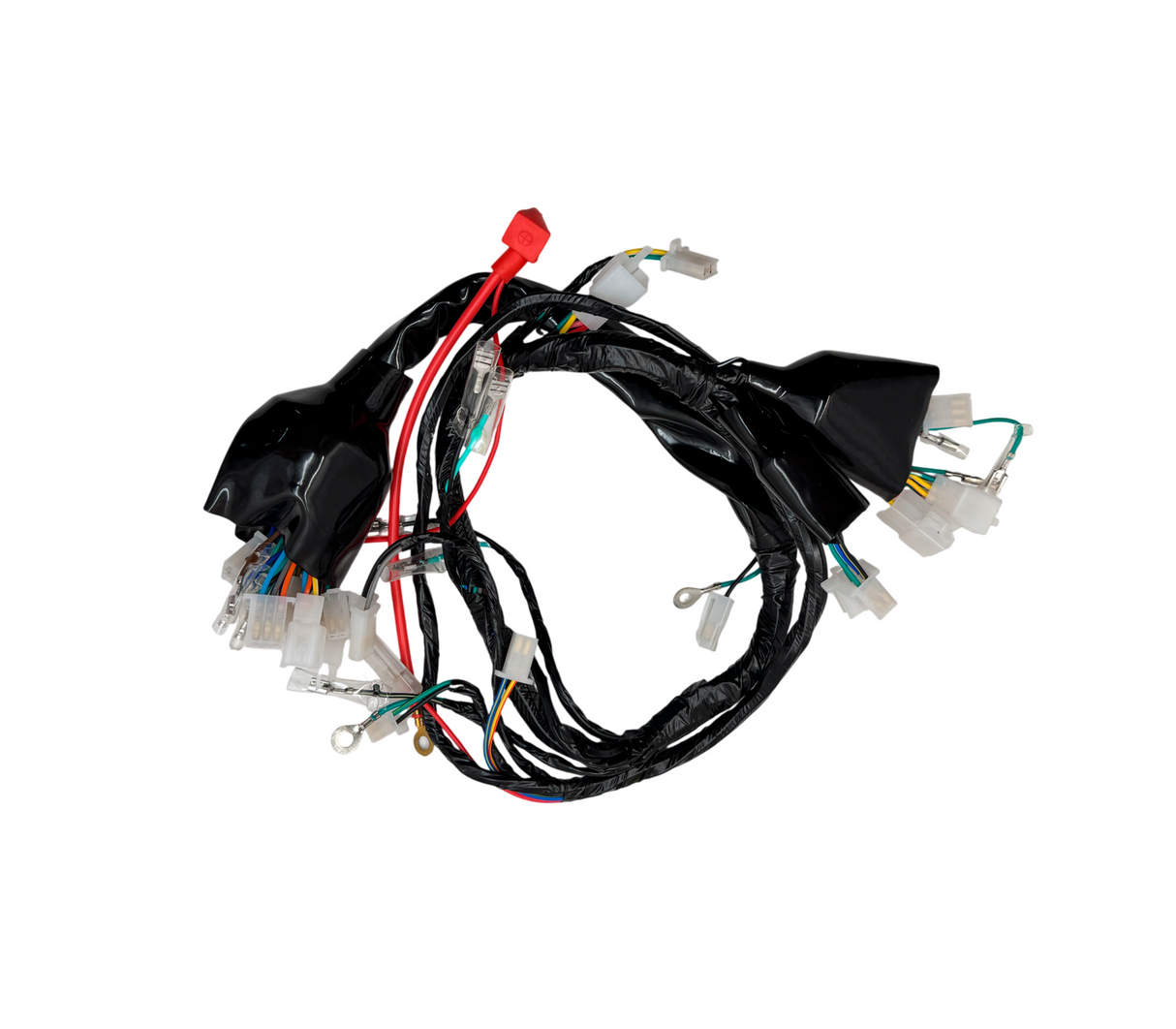 Cableado completo EH1 NEW 2024 Auto Asia