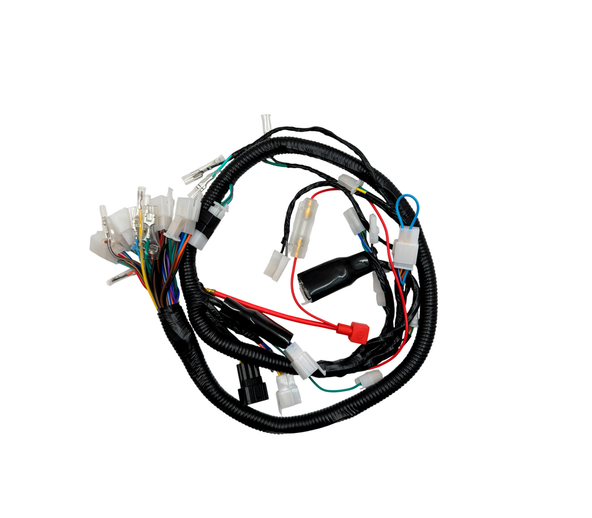 Cableado completo EOW NEW 2024 Auto Asia