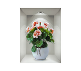 Calcomanía 3D 30x40 Centímetros Home Decor