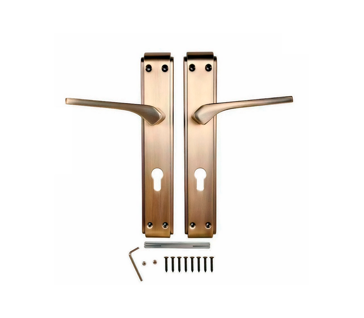 Manilla para puerta con plato Nexon