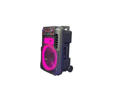 Corneta 12" amplificada 50W recargable karaoke Sankey