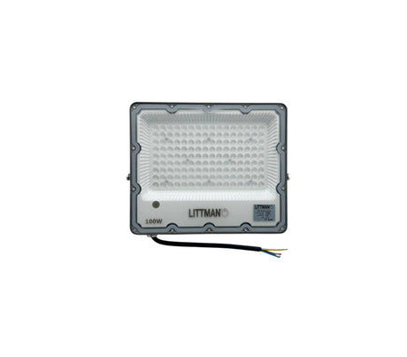 Reflector LED 100W RGB con control IP65 gris/blanco Littman