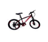 Bicicleta Rin 20 freno de disco Modelo KB008 Powerfik